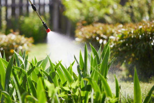 Tamper-Resistant Bait Stations for Rodents in Loxley