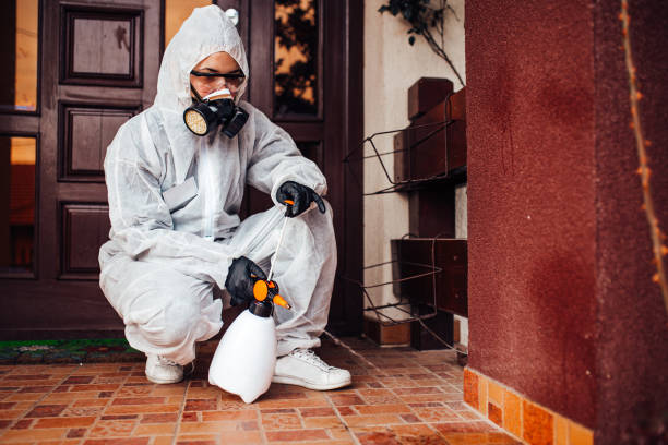 Attic and Crawl Space Rodent Treatment in Loxley